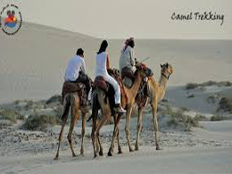 arabian-adventures-qatar